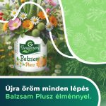 Balzsam Plusz - Gyógynövényes gyulladáscsökkentő krém