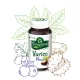 Varico Plusz