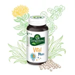 Vital Plusz