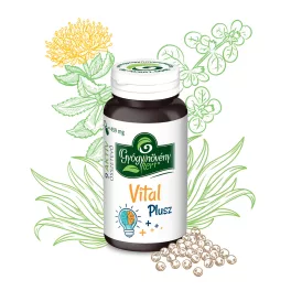 Vital Plusz