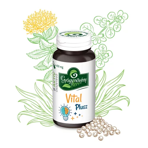 Vital Plusz