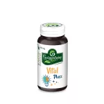 Vital Plusz