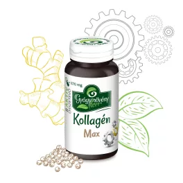 Kollagén Max