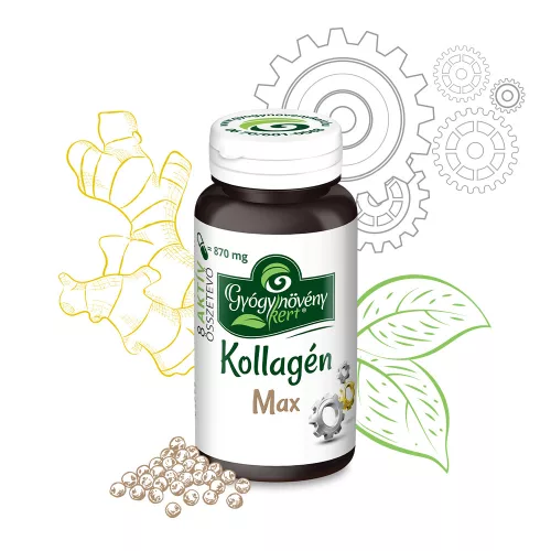 Kollagén Max